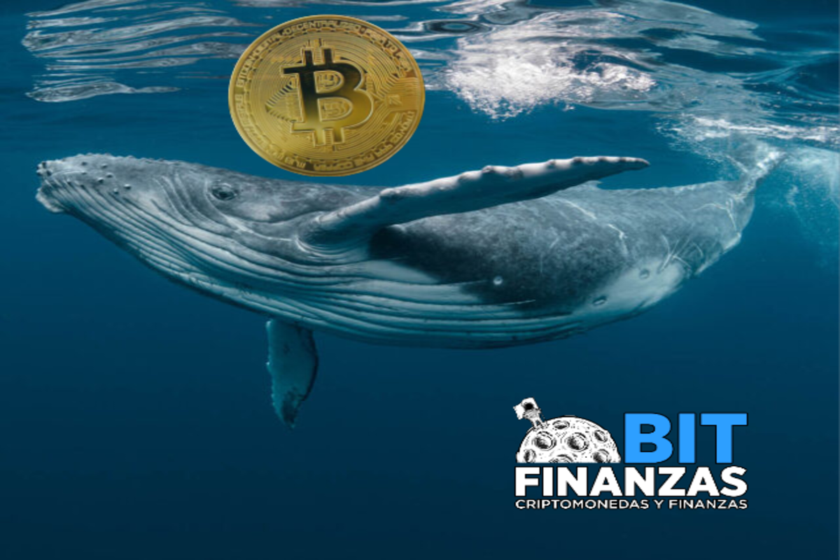 Crisis entre Rusia y Ucrania despierta el interés de las ballenas en Bitcoin