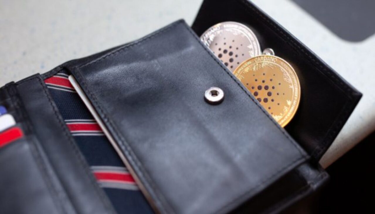 Cardano: Los desarrolladores lanzan la primera Light Wallet de la plataforma