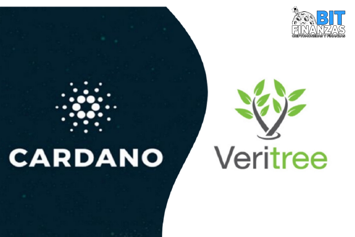 Cardano se asocia con Veritree con objeto de convertirse en una blockchain “verde”